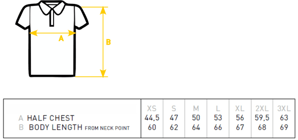 Databricks - Damen Polo-Shirt